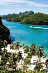 Tropical-Beach